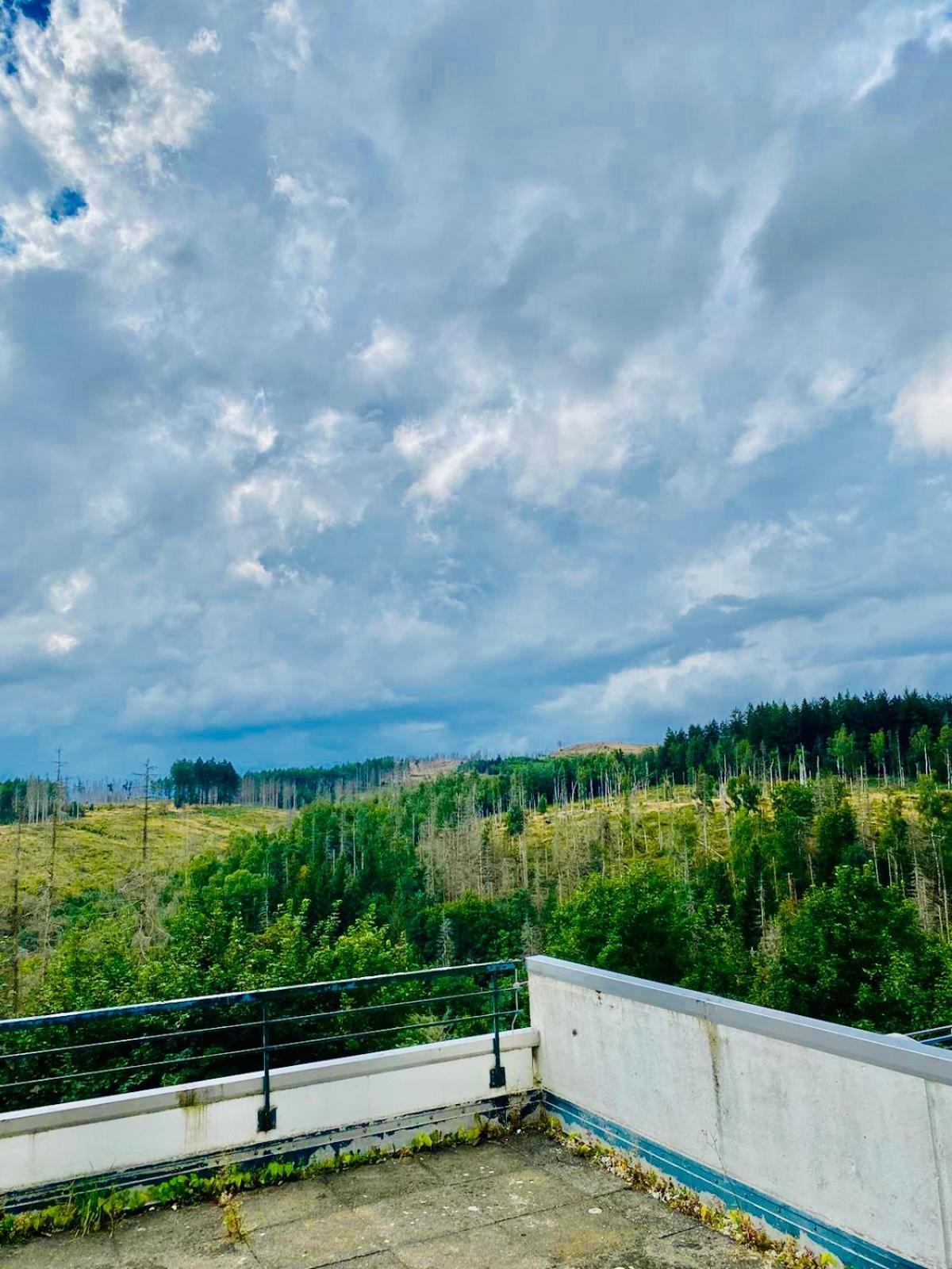 Terrassenhaus Im Harz, Pool, Sauna, Wlan Braunlage Zewnętrze zdjęcie