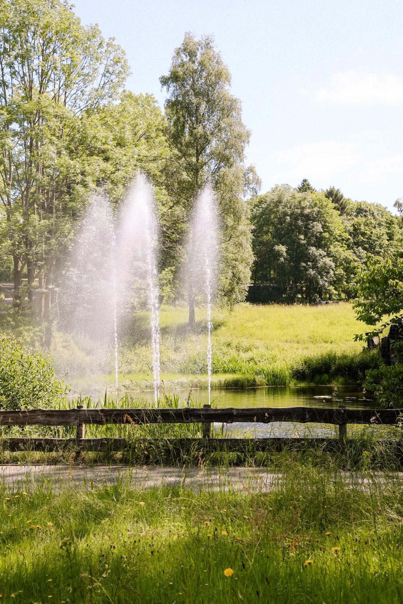 Terrassenhaus Im Harz, Pool, Sauna, Wlan Braunlage Zewnętrze zdjęcie